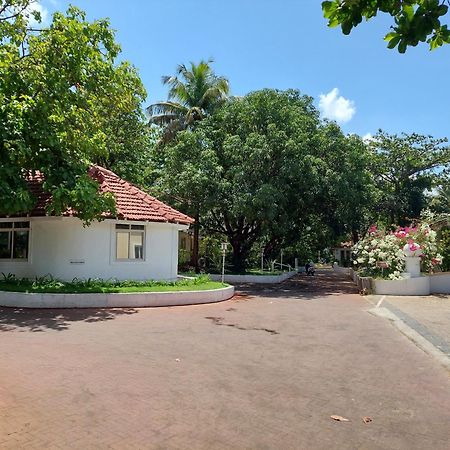 Angels Resort Aradi Socorro Exterior foto